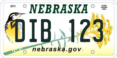 NE license plate DIB123