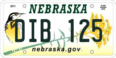 NE license plate DIB125