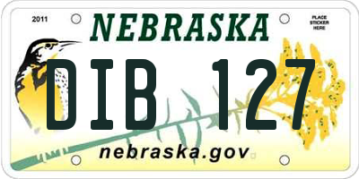 NE license plate DIB127