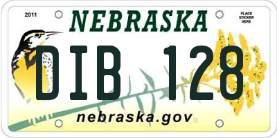 NE license plate DIB128
