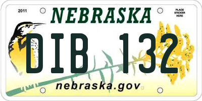 NE license plate DIB132
