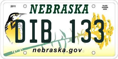 NE license plate DIB133