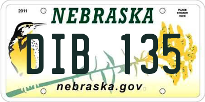 NE license plate DIB135