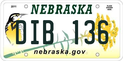 NE license plate DIB136