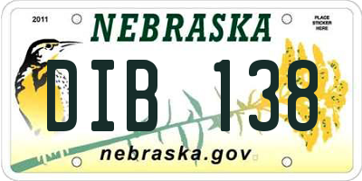 NE license plate DIB138