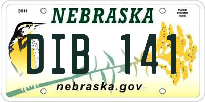 NE license plate DIB141