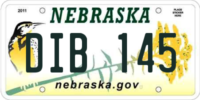 NE license plate DIB145