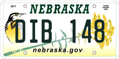 NE license plate DIB148