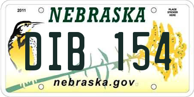NE license plate DIB154