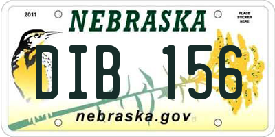 NE license plate DIB156