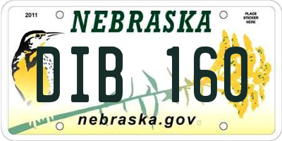 NE license plate DIB160