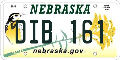 NE license plate DIB161