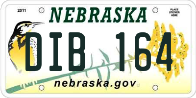 NE license plate DIB164