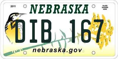 NE license plate DIB167