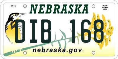 NE license plate DIB168