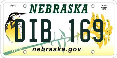 NE license plate DIB169