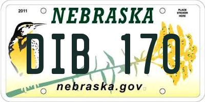 NE license plate DIB170