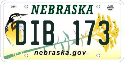 NE license plate DIB173