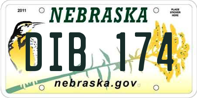 NE license plate DIB174