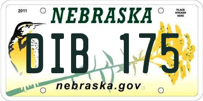 NE license plate DIB175