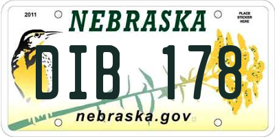 NE license plate DIB178