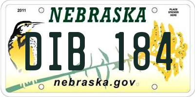NE license plate DIB184