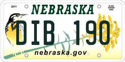 NE license plate DIB190