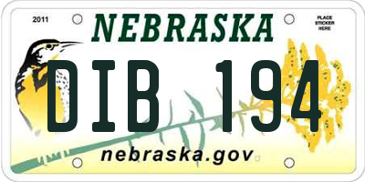 NE license plate DIB194