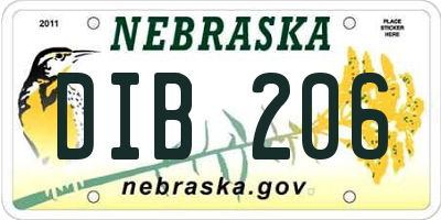 NE license plate DIB206