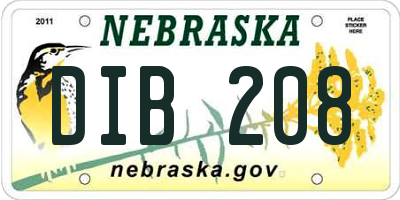 NE license plate DIB208