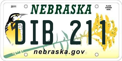 NE license plate DIB211