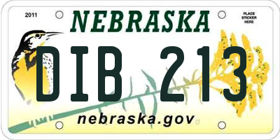 NE license plate DIB213