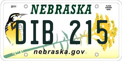 NE license plate DIB215