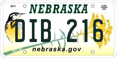 NE license plate DIB216
