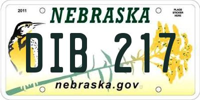 NE license plate DIB217