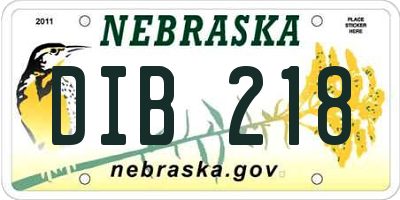 NE license plate DIB218