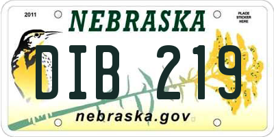 NE license plate DIB219
