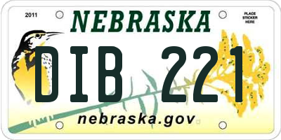 NE license plate DIB221