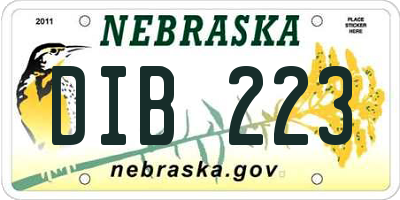 NE license plate DIB223