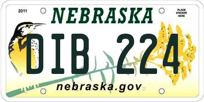 NE license plate DIB224