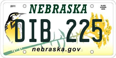 NE license plate DIB225