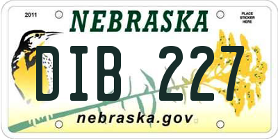 NE license plate DIB227