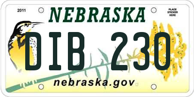 NE license plate DIB230