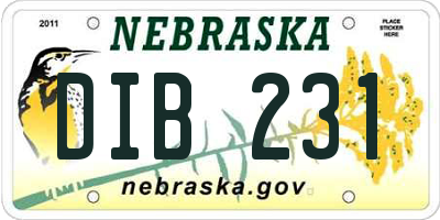 NE license plate DIB231