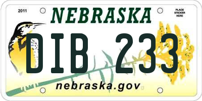 NE license plate DIB233
