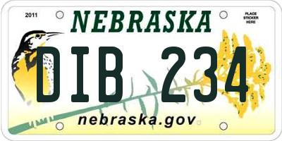 NE license plate DIB234