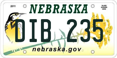 NE license plate DIB235