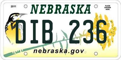 NE license plate DIB236