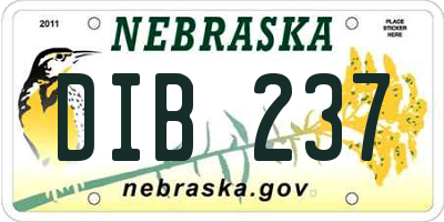 NE license plate DIB237