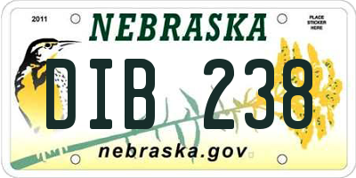 NE license plate DIB238